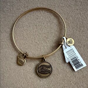 Alex and Ani UF Gator Bracelet with Charms